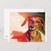 ダッチハウンド狂 ポストカード (正面/裏面)