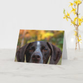 ダットドッグって？ カード (黄色い花)