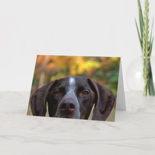 ダットドッグって？ カード (正面)