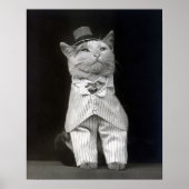 ダッパーなネコ、1906年。ヴィンテージ写真 ポスター (正面)
