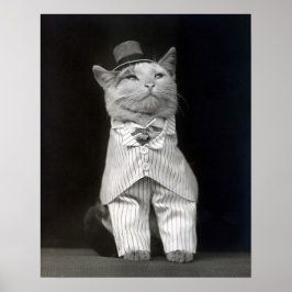 ダッパーなネコ、1906年。ヴィンテージ写真 ポスター