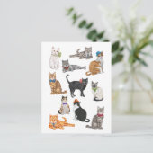 ダッパー・キャッツ ポストカード (スタンド正面)