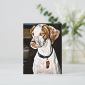 ダッパー・ドッグ ポストカード (スタンド正面)