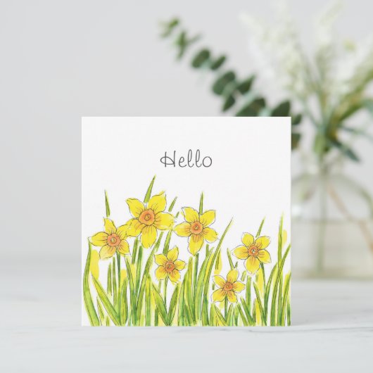 ダッフォジルの分野 (スタンド正面)