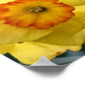 ダッフォジルスのポスター ポスター (角)