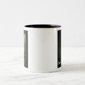 ダッフォディル写真美しい生活引用文 ツートーンマグカップ (中央)