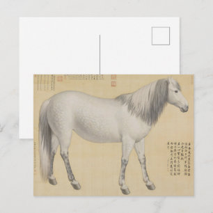 ダップルグレーの馬 - ヴィンテージ中国美術 ポストカード