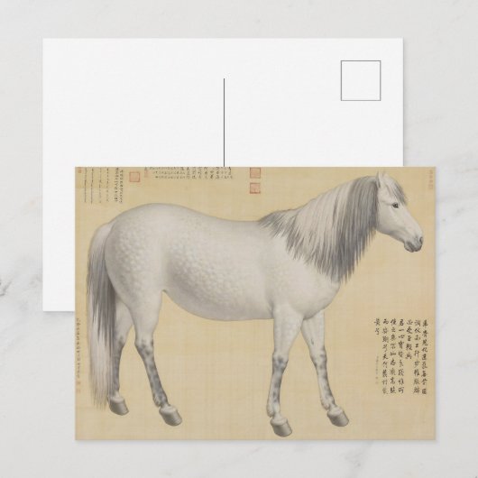 ダップルグレーの馬 - ヴィンテージ中国美術 ポストカード (正面/裏面)