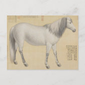 ダップルグレーの馬 - ヴィンテージ中国美術 ポストカード (正面)