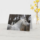 ダップルグレーアンダルシアンスタリオンヘッドショット カード (黄色い花)