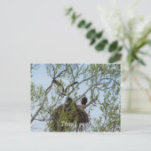 ダディズホーム ポストカード (スタンド正面)