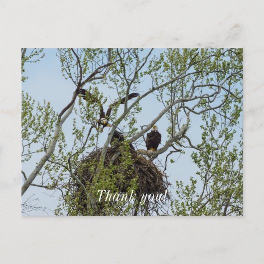 ダディズホーム ポストカード (正面)