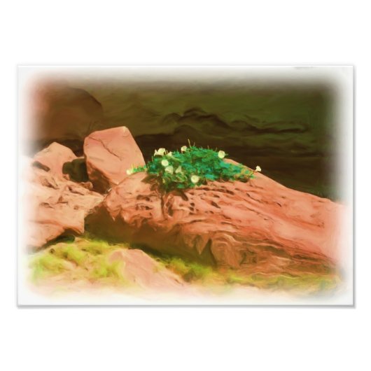 ダトゥラカバーン フォトプリント            (正面)