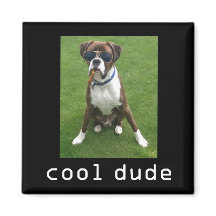 ダドクールドッグ