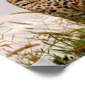 ダドリーリバーバンク ポスター (角)