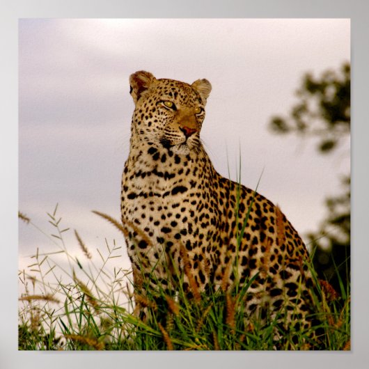 ダドリーリバーバンク ポスター (正面)