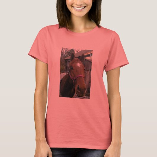 ダドリー退職金T型 Tシャツ (正面)