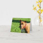 ダドリー2ノートカード カード (黄色い花)