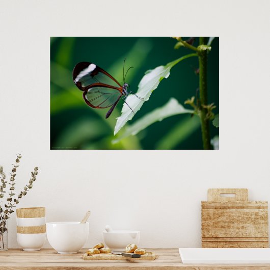 ダナプリント ポスター (キッチン)