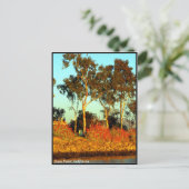 ダナポイントのポストカード ポストカード (スタンド正面)