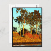 ダナポイントのポストカード ポストカード (正面/裏面)