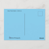 ダナポイントハーバーカリフォルニア ポストカード (裏面)