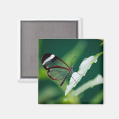 ダナマグネット マグネット (正面/裏面)