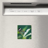 ダナマグネット マグネット (インサイチュ (食洗機))