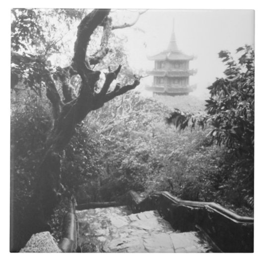 ダナンベトナムテンプルビューマーブルマウンテン タイル (正面)