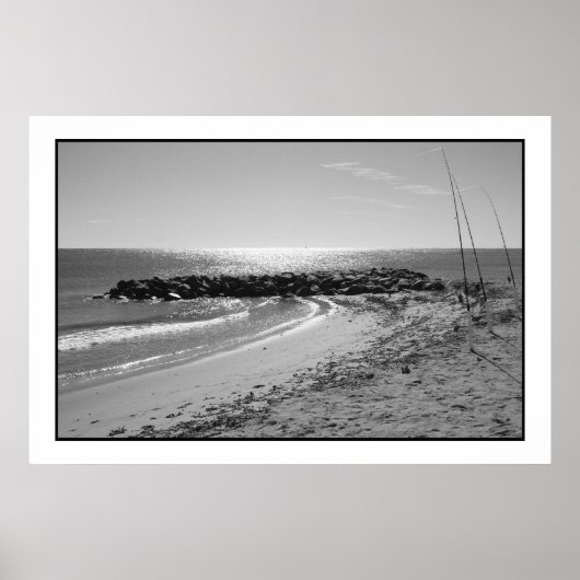 ダニアビーチインレット ポスター (正面)