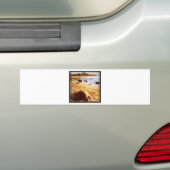 ダニエラ力によるLaniakeaの写真 バンパーステッカー (車上)