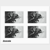 ダニエル・ブーン 長方形シール (シート)