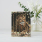 ダニエル・ヘルナンデス・モリロ：ライオン・ケージで ポストカード (スタンド正面)