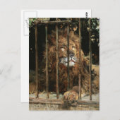 ダニエル・ヘルナンデス・モリロ：ライオン・ケージで ポストカード (正面/裏面)