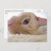 ダニエル ポストカード (正面/裏面)