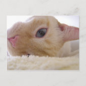 ダニエル ポストカード (正面)