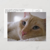 ダニエル#2 ポストカード (正面/裏面)