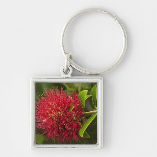 ダニーデンのポフツカワの花 キーホルダー (正面)