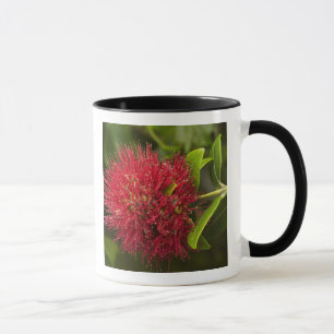 ダニーデンのポフツカワの花 マグカップ