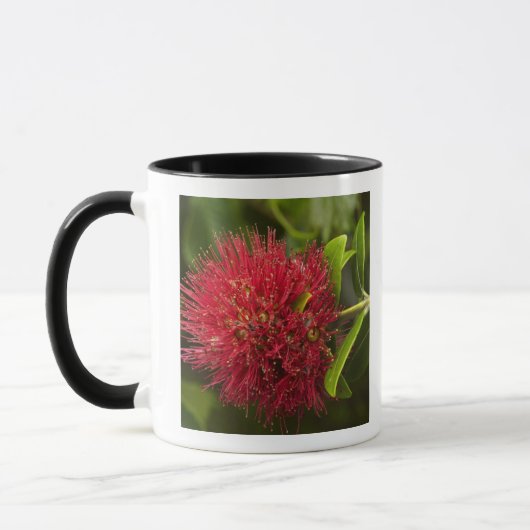 ダニーデンのポフツカワの花 マグカップ (左)