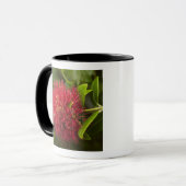 ダニーデンのポフツカワの花 マグカップ (正面左)