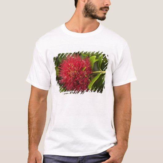 ダニーデンのポフツカワの花 Tシャツ (正面)