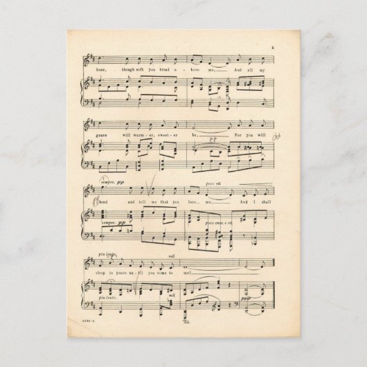 ダニーボーイ4 ポストカード (正面)