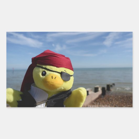 ダニー・ダック海賊の長方形ステッカー 長方形シール (正面)