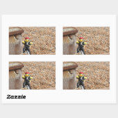 ダニー・ダック海賊の長方形ステッカー 長方形シール (シート)