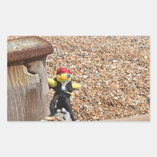 ダニー・ダック海賊の長方形ステッカー 長方形シール (正面)