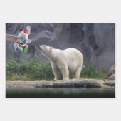 ダニー・ダック・サンタ。ツリーオーナメント ラッピングペーパーシート (正面3)