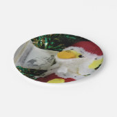 ダニー・ダック・サンタ。紙プレート ペーパープレート (アングル)