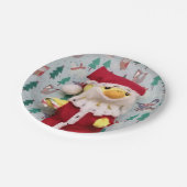 ダニー・ダック・サンタ。紙プレート ペーパープレート (アングル)