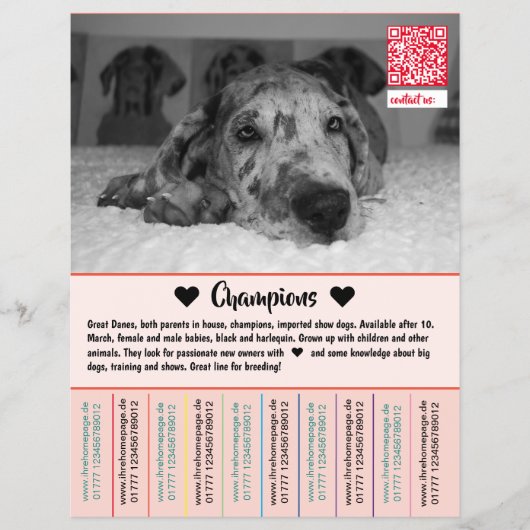 ダネの子犬フライヤーを売る チラシ (正面)